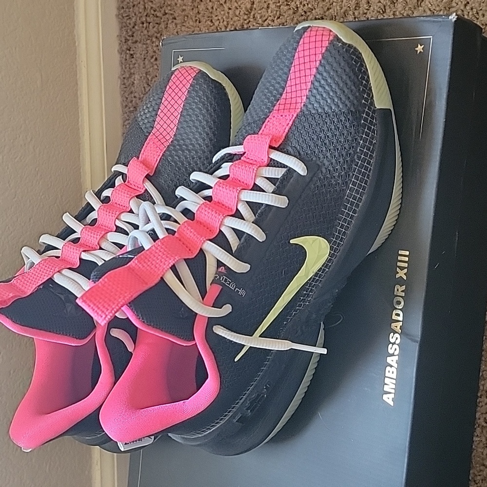 Nike LeBron Ambassador 13 Yeezy colorway size 8.5